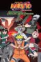 Naruto the Movie: Guardians of the Crescent Moon Kingdom
